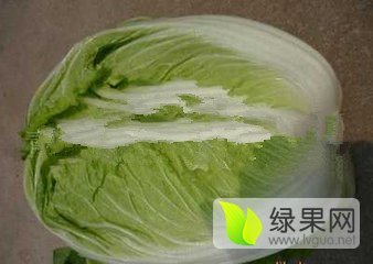 2016年山东平度黄心白菜价格
