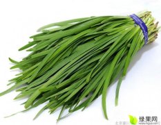 中绿韭菜一号