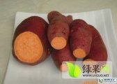 夏津红薯是名优特产,银城赵元帧诚信合作