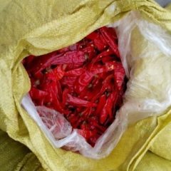 天津宁河羊角椒辣椒营养丰富