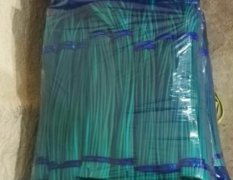 大量供应《金乡蒜薹》质量好