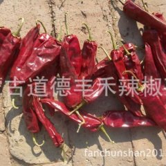 2016开鲁辣椒走过路过不要错过