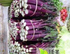 汉川 菜苔是武汉特产