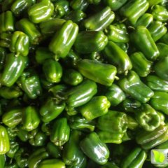 山东莘县于家蔬菜市场大量优质太空椒上市