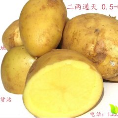 克新2两通天0.5-0.54夏波蒂0.75-0.