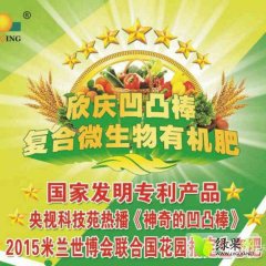 中国种大姜用凹凸棒肥料第一人