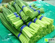 金乡县本公司专业储存蒜薹（短期长期）专业保鲜技术