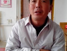 肥城白菜绿色无公害,王庄李诚信诚信合作