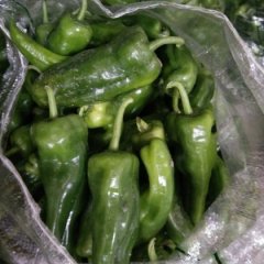 安徽鸠江沈巷辣椒火热上市