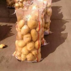 多伦诺尔彭涛7月克新一号土豆