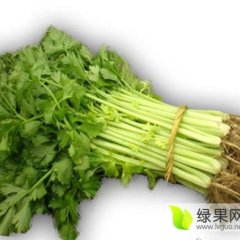 2015带根芹菜订货有惊喜走过路过不错过