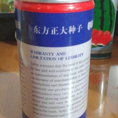 批发供应各种优质嫁接砧木，大中小粒齐全