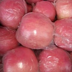 冷库红富士苹果低价格甩货中