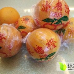 湖南吉首椪柑柑橘著名品牌