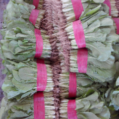 岱岳小白菜逐渐升温,良庄马宗文诚信合作