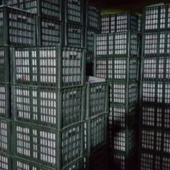 2016年春季红富士苹果走势如何？