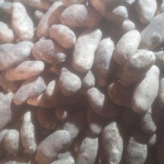 围场土豆产销两旺,围场孙静诚信合作