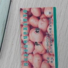 西昌礼州尹雄11月特优甘蓝