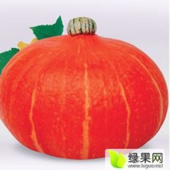 内蒙古通辽市科尔沁区福旺惠农种植合作社