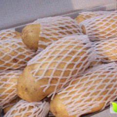 肥城土豆是名优特产,王庄杨坤诚信合作