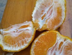 四川东坡出售自家大量各种水果柑橘