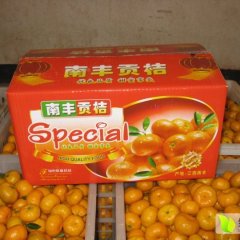 南丰白舍唐玉林2月南丰蜜桔柑橘