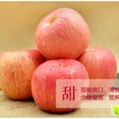 山西运城临猗红富士苹果优质低价 忍痛出售