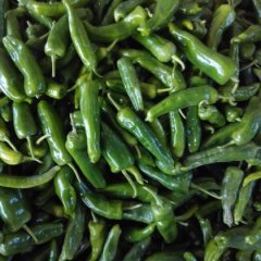 忻府义井王金牛北京红辣椒