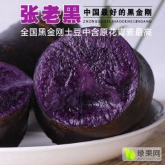 甘肃七里河黑金刚土豆口感爽口