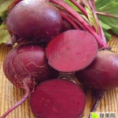 莘县红甜菜有将近一千亩的种植