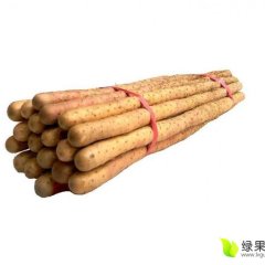 常年大量供应恒温库保鲜麻山药