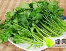 河北邯郸大量供应大小叶香菜
