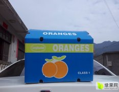 湘西峎山脐橙多汁香甜50元/箱