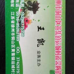 铜山菜花名优产品,黄集王凯诚信合作