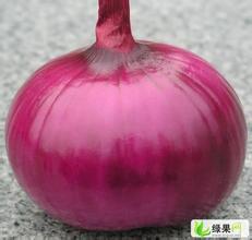 山东郯城今年洋葱比去年质量要好