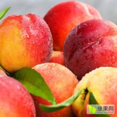 山东蒙阴蒙阴蜜桃上货量大