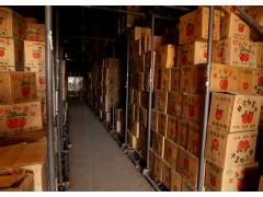 大荔苹果绿色无公害,大荔党力康诚信合作