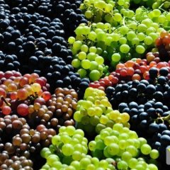 求购葡萄、龙眼、荔枝、瓜果等