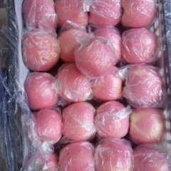 临猗纸袋冷库苹果早买早赚闫家高伟诚信合作