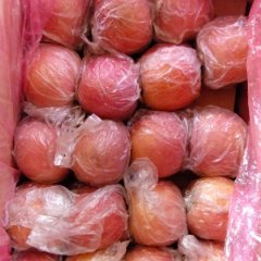 临猗苹果长势旺盛,耽子刘先生诚信合作