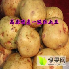 临洮土豆何去何从,北大曹先生诚信合作