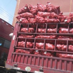 西昌市洋葱代办商营军