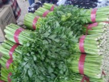 通许温室大棚西芹价格1元