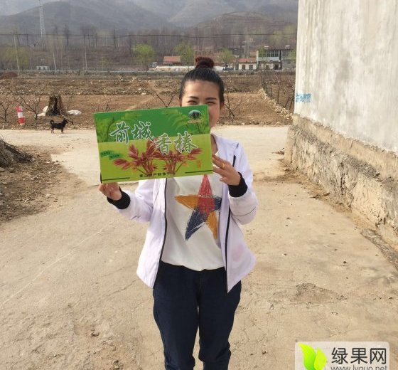 2016年山东蒙阴香椿芽价格