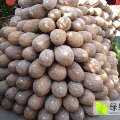 嘉鱼潘家密本南瓜六月上市鲁文华诚信代理