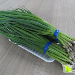 百亩小葱长势喜人，葱白小