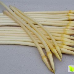 供藕尖，藕肠子