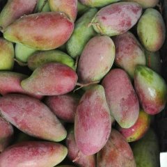 海南热带水果，果园直摘发货