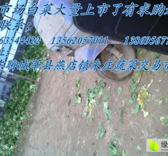 2015年山东莘县北京新三号价格