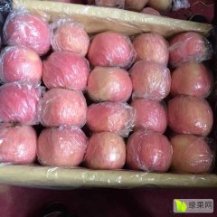 2016临猗苹果走过路过不要错过